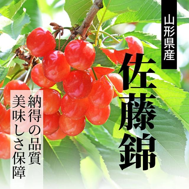 納得の品質 佐藤錦