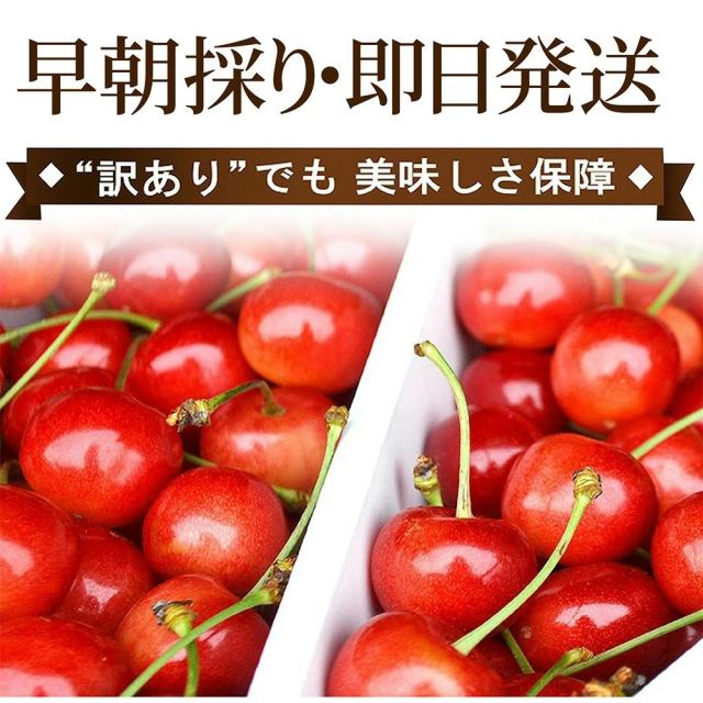 早朝採り・即日発送