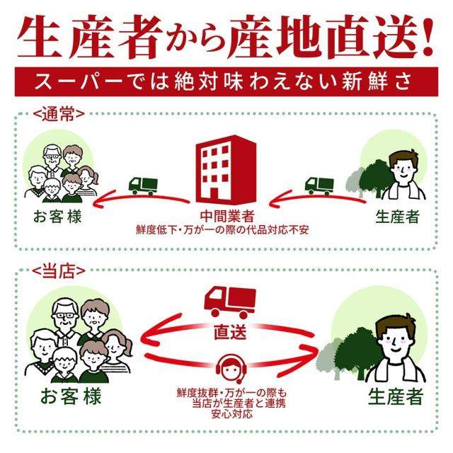 生産者から産地直送