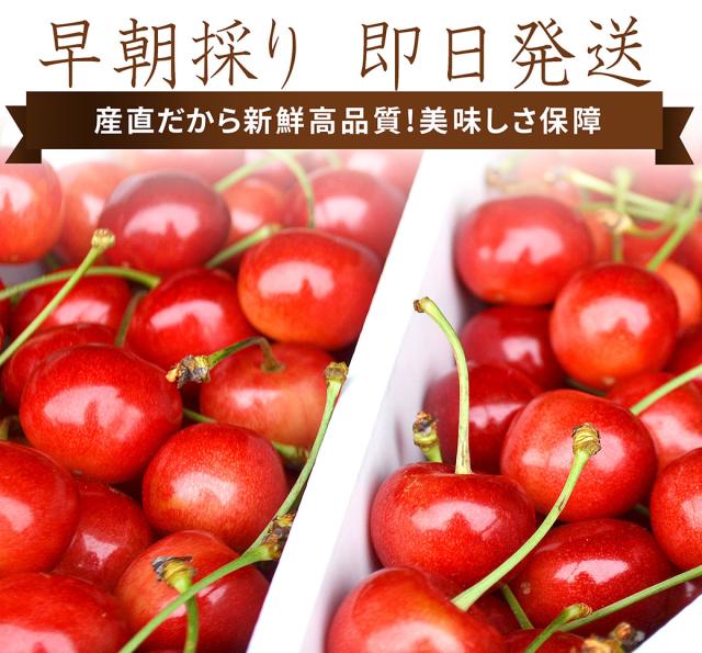 朝採り即日発送