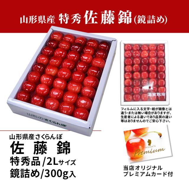 山形県産 さくらんぼ 佐藤錦 特秀 2L玉 300g