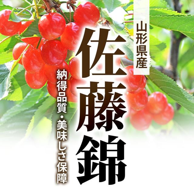 山形県産佐藤錦