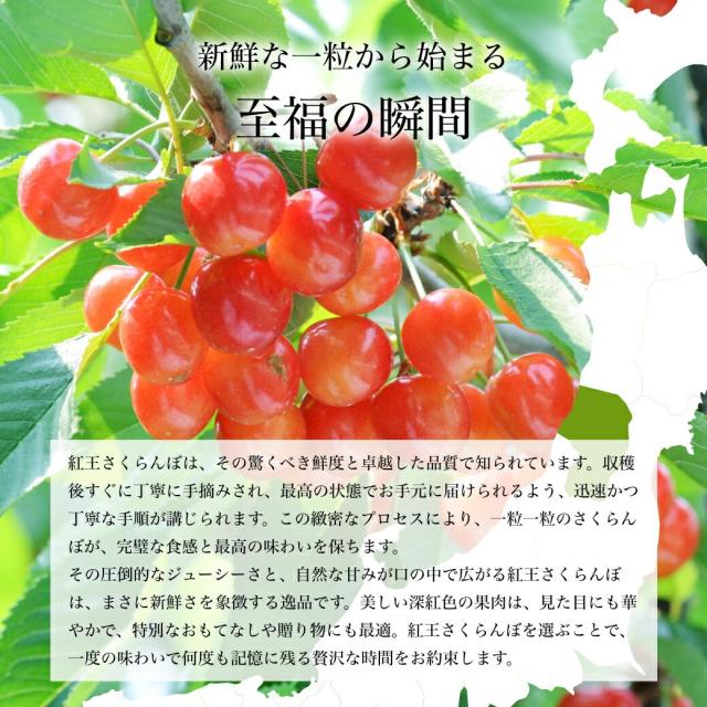 新鮮な一粒から始まる至福の瞬間