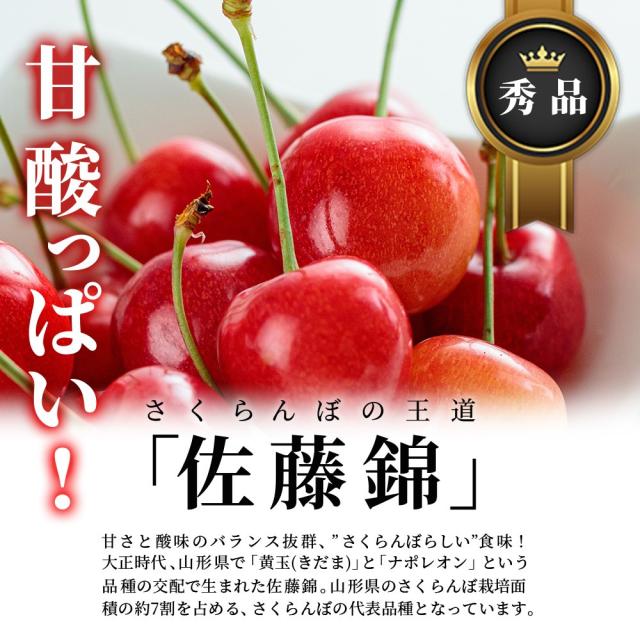 甘酸っぱい！さくらんぼの王道 佐藤錦 秀