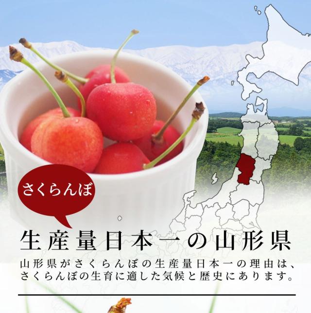 さくらんぼ生産量日本一の山形県