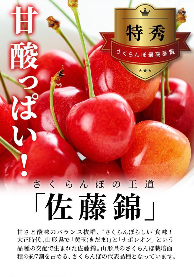 甘酸っぱい! さくらんぼの王道「佐藤錦」