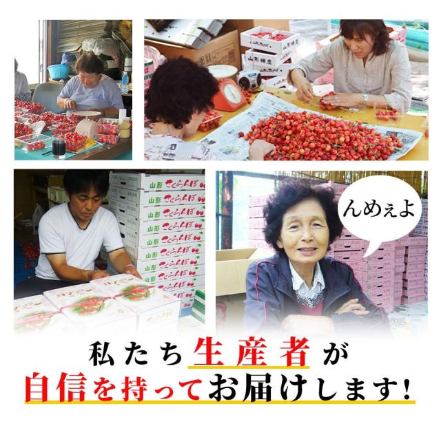 私たち生産者が自信を持ってお届けします!