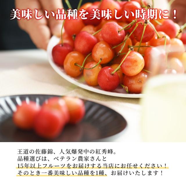 甘酸っぱい！さくらんぼの王道 佐藤錦 秀