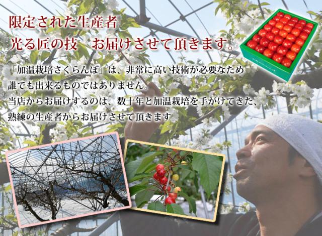 限定された生産者