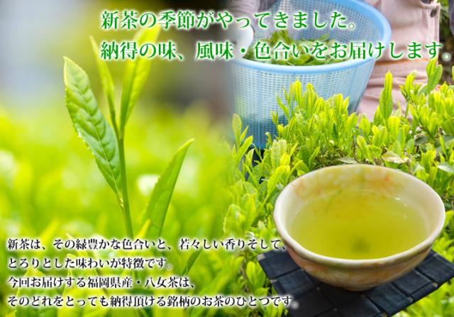 新茶の季節