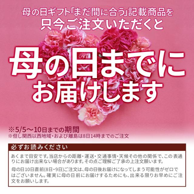 母の日 ギフト まだ間に合う