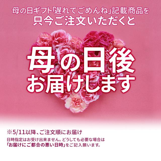 母の日 ギフト 遅れてごめんね