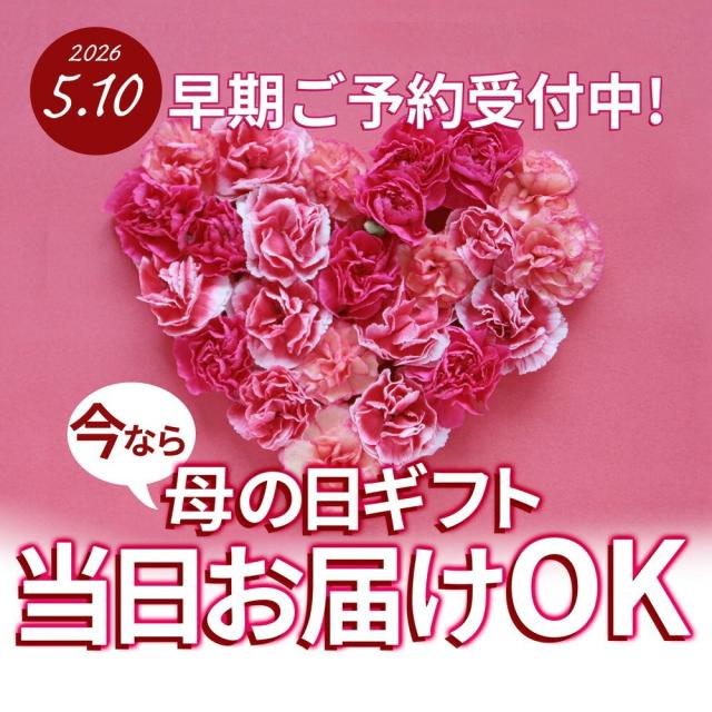 母の日ギフト 当日お届け