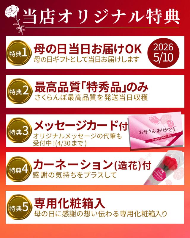 母の日特典