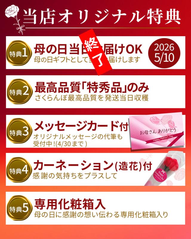 母の日特典