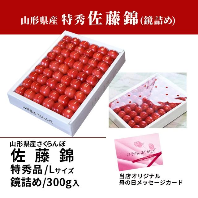 山形県産 さくらんぼ 佐藤錦 特秀 L玉 300g