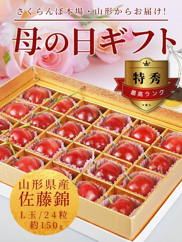 さくらんぼの本場 山形からお届け 母の日ギフト 特秀最高ランク 山形県産佐藤錦 L玉 24粒 約150g
