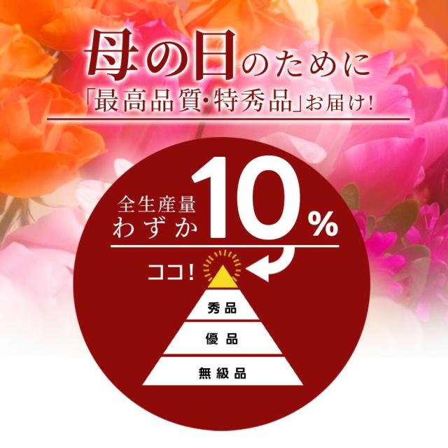 母の日のために「最高品質・特秀品」お届け! 全生産量のわずか10%