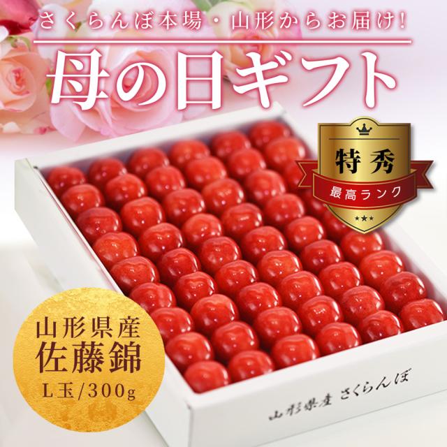 佐藤錦 さくらんぼギフト 母の日