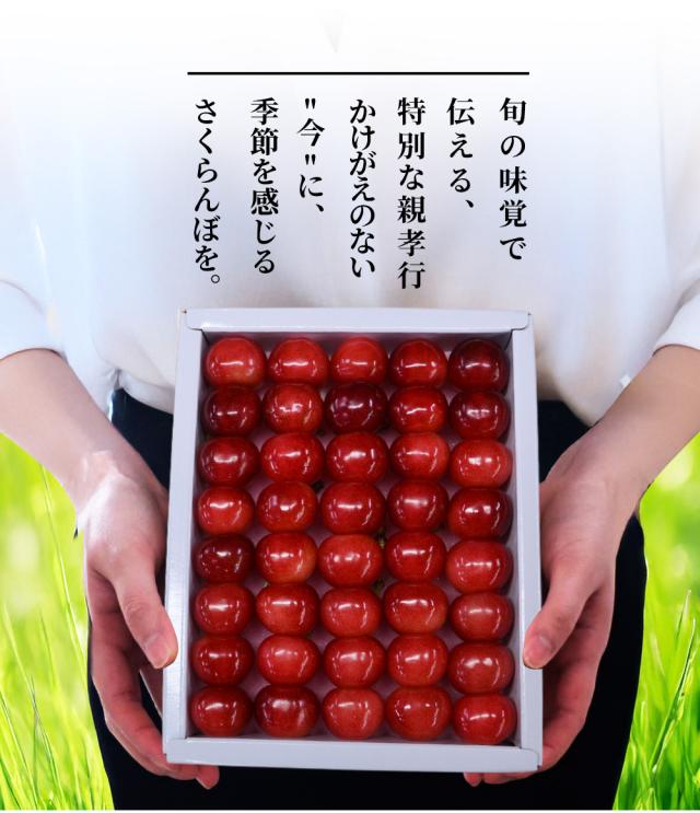 特別な親孝行 かえがえのない今に季節を感じるさくらんぼを