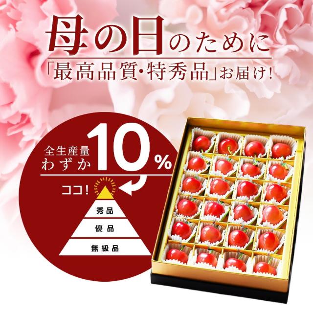 母の日のために「最高品質・特秀品」お届け！ 全生産量のわずか10%