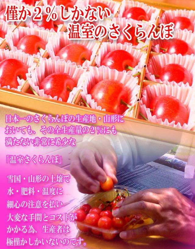 わずか2%しかない温室のさくらんぼ