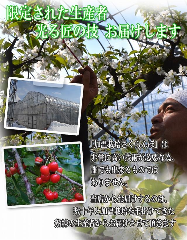 限定された生産者