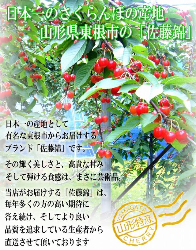 日本一のさくらんぼの産地
