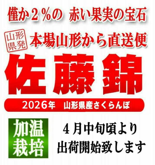佐藤錦 4月中旬頃より発送