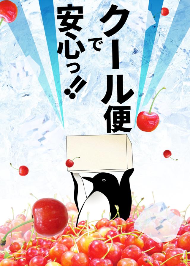 クール便で安心