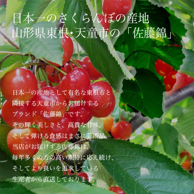 日本一の産地 佐藤錦