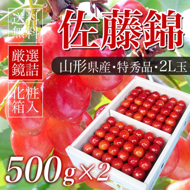 さくらんぼ佐藤錦500g・2
