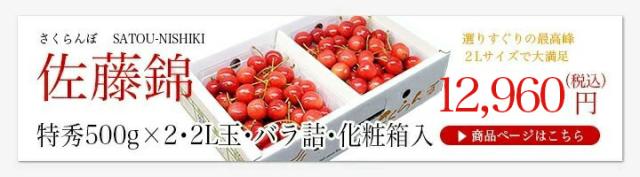 さくらんぼ佐藤錦特秀1kg