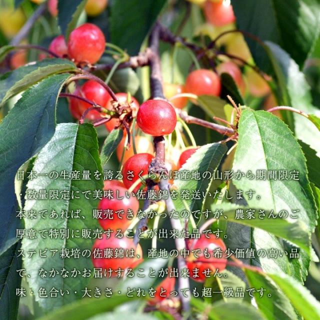 期間・数量限定の販売