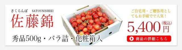 さくらんぼ佐藤錦500g
