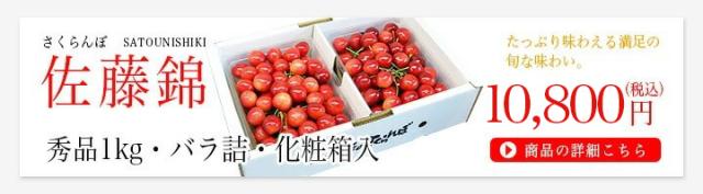 さくらんぼ佐藤錦1kg