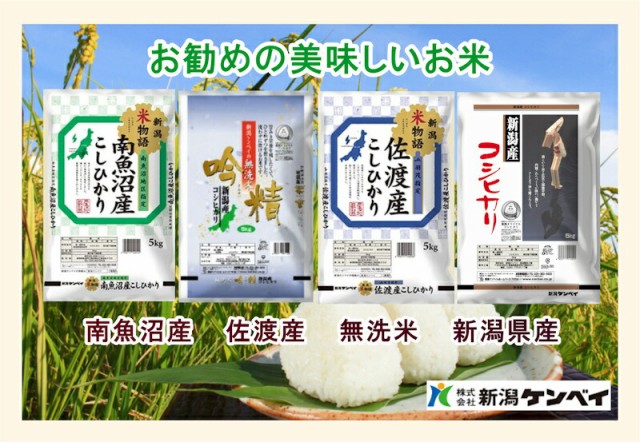 佐渡産地限定　コシヒカリ10kg　PAY　マーケット店　令和４年産　新潟県産　マーケット　JA羽茂農協　新潟ケンベイ産　PAY　au　コシヒカリ】　新潟県佐渡　産直越後屋　au　送料無料の通販はau　PAY　マーケット－通販サイト