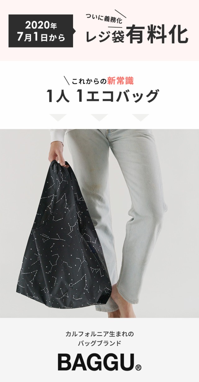 STANDARD BAGGU バグゥ series 02 メール便送料無料 [エコバック サブ