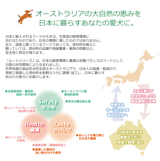 ルートシリーズ共通説明画像_2