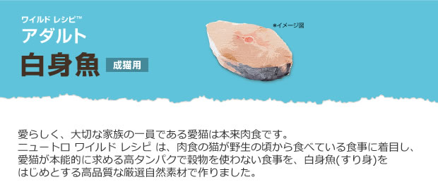 ニュートロ ワイルドレシピ キャットフード アダルト白身魚_r1