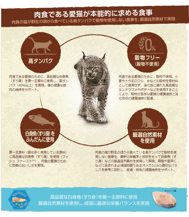 ニュートロ ワイルドレシピ キャットフード アダルト白身魚_r2
