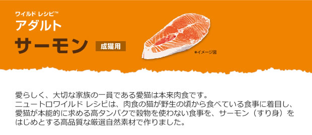 ニュートロ ワイルドレシピ キャットフード アダルトサーモン_r1