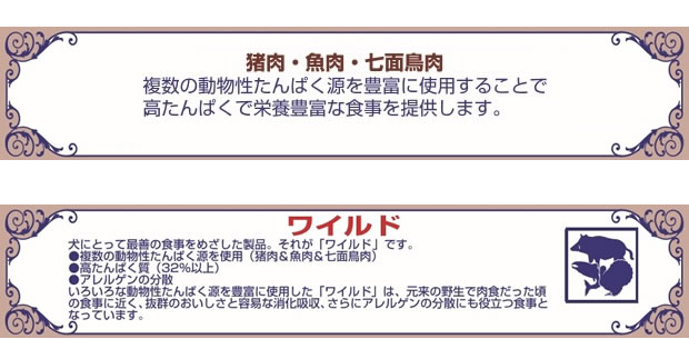 Wishワイルドボア_03