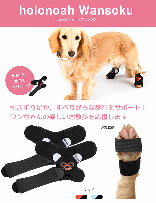 正規販売代理店 コンビ コムペット ペット用サポーター 小型犬用 ホロノア ワンソク Lサイズ ペット用 足首サポーター レッド ブルー ブルー は取り Seal限定商品 Centrodeladultomayor Com Uy