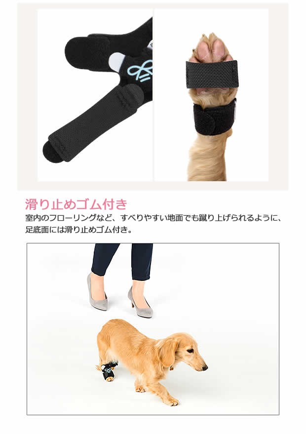 正規販売代理店 コンビ コムペット ペット用サポーター 小型犬用 ホロノア ワンソク Lサイズ ペット用 足首サポーター レッド ブルー ブルー は取り Seal限定商品 Centrodeladultomayor Com Uy