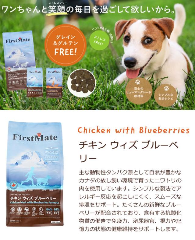 チキン ウィズ ブルーベリー