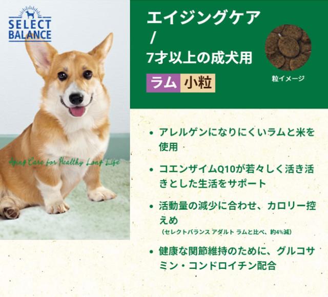 人気no 1 本体 2個セット ベッツ チョイス セレクトバランス エイジングケア ラム 小粒 3kg 2個セット 50 Off Gdpcambodia Org