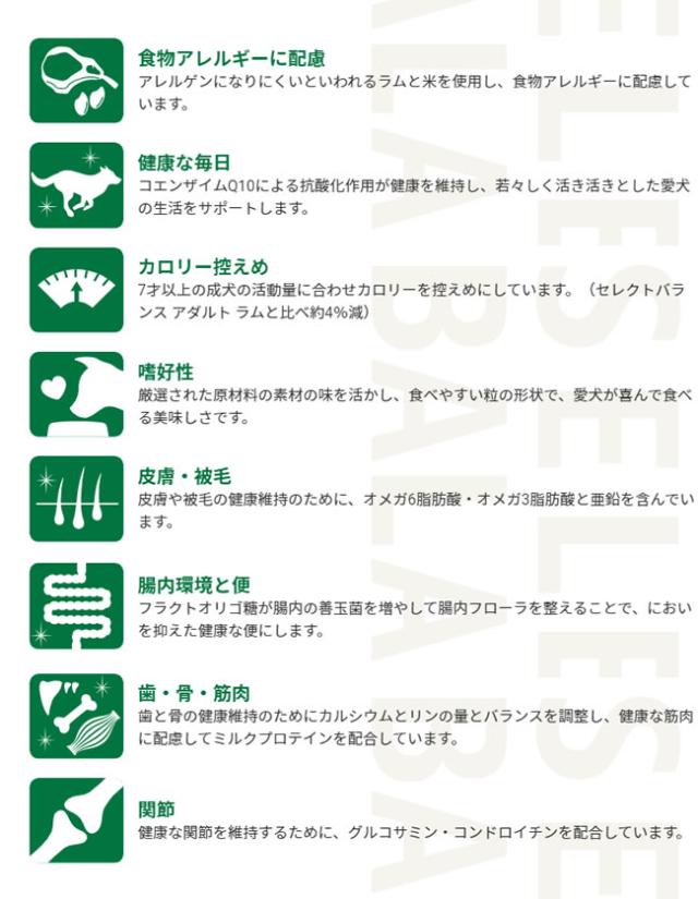 セレクトバランス　エイジングケアラム/7歳以上の成犬用