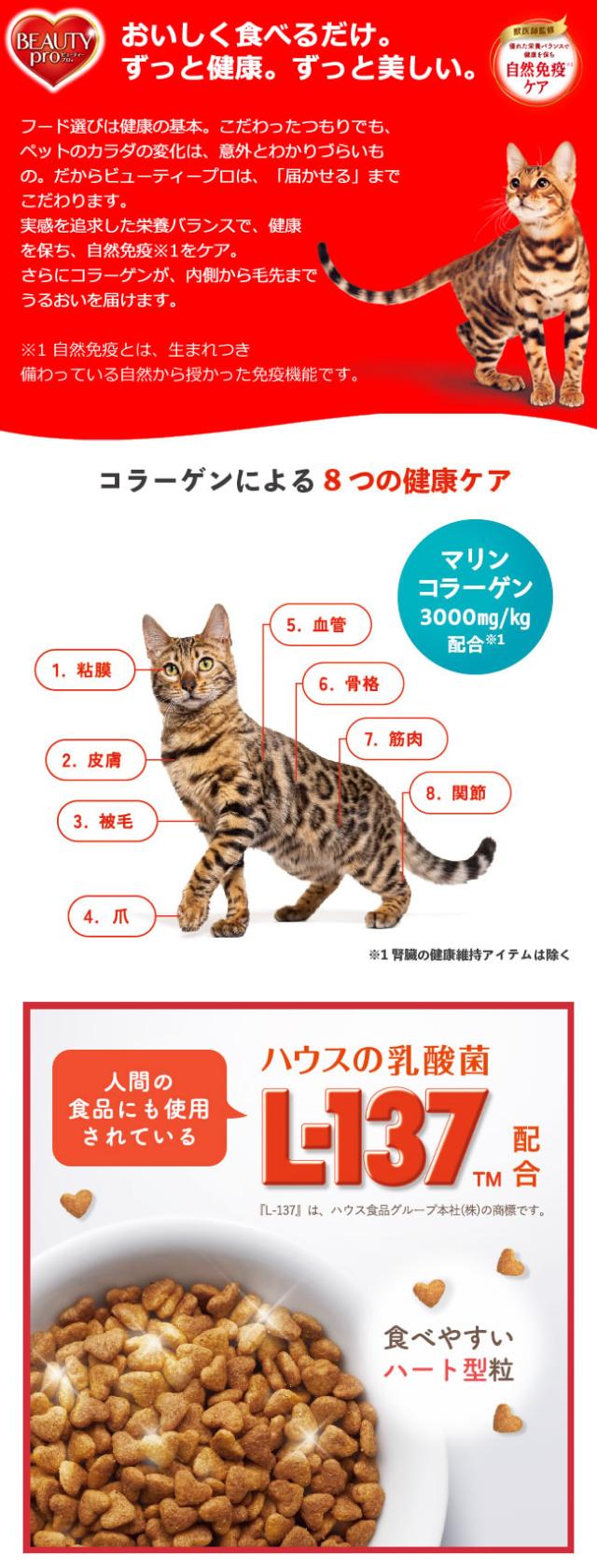 日本ペットフード ビューティープロ キャット