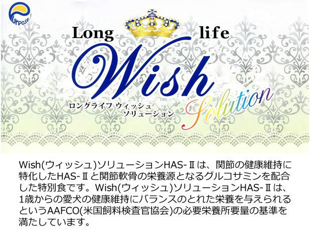 Wish 関節HAS-2_1